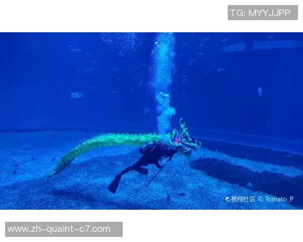 深蓝磐涅：“美人鱼”生长记